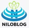 Website1